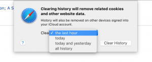 Clearing history will remove related cookies and other website data.